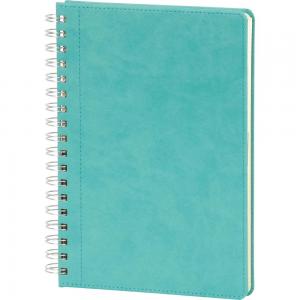 Spiralli Tarihsiz Defter ( 17 x 24 cm )